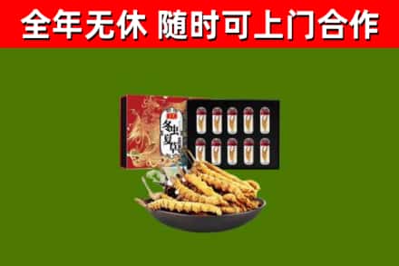 牡丹回收冬虫夏草价格
