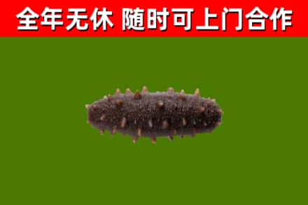 牡丹烟酒回收干海参.jpg